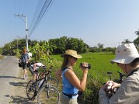 Chang Mai fietstoer